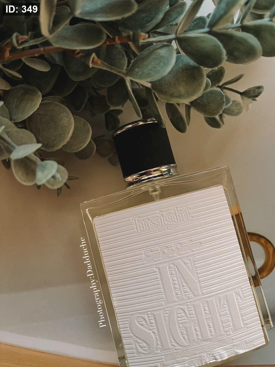 Insight Louis Cardin