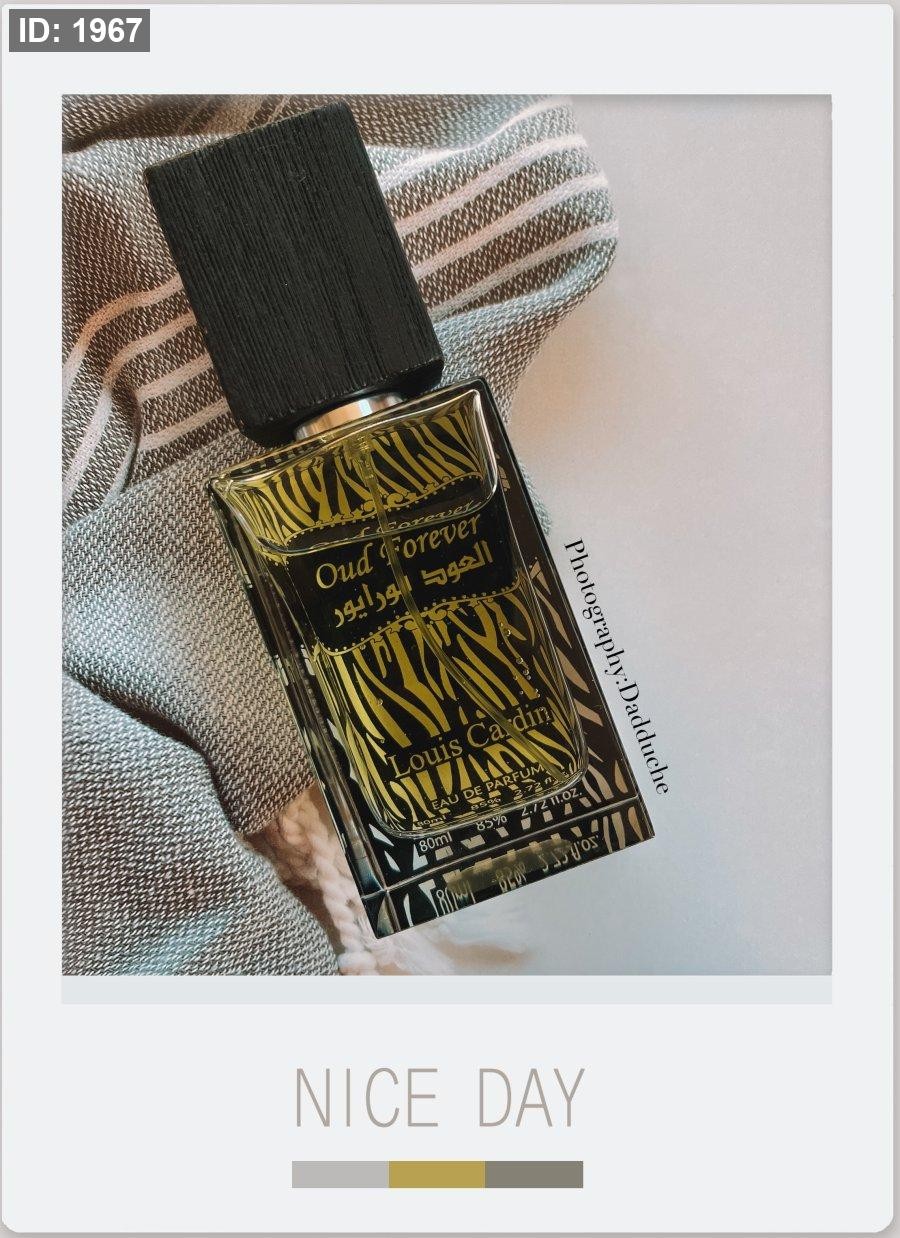 Oud Forever Louis Cardin